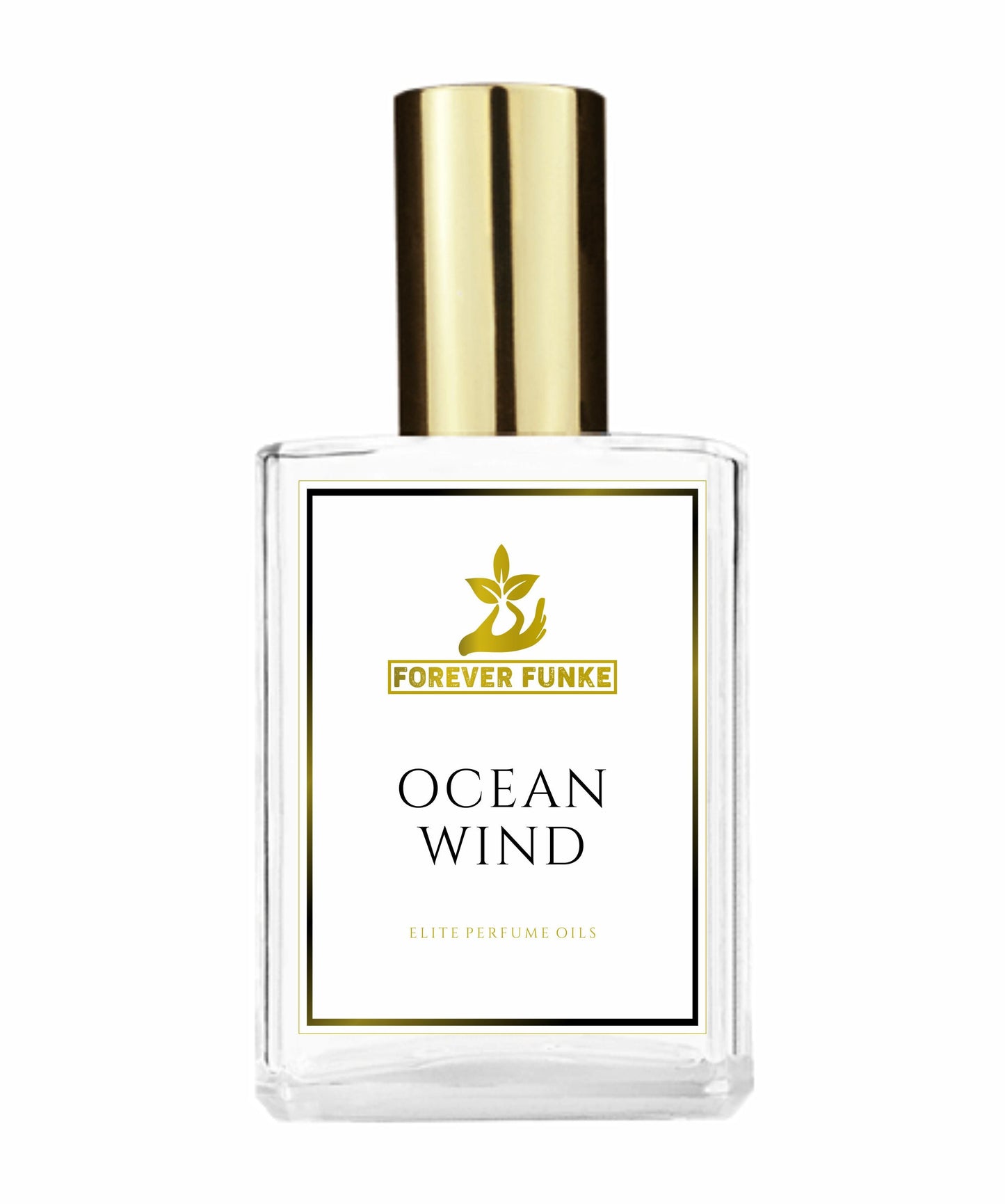 Ocean Wind Perfume Oil Inspired By Chl No 5 100% Pure Fragrance Oil, Scented Perfume Oil Concentrate